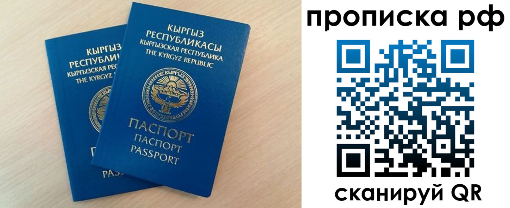 где прописаться в Димитровграде
